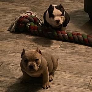 Meet your Posher, Jeremiah